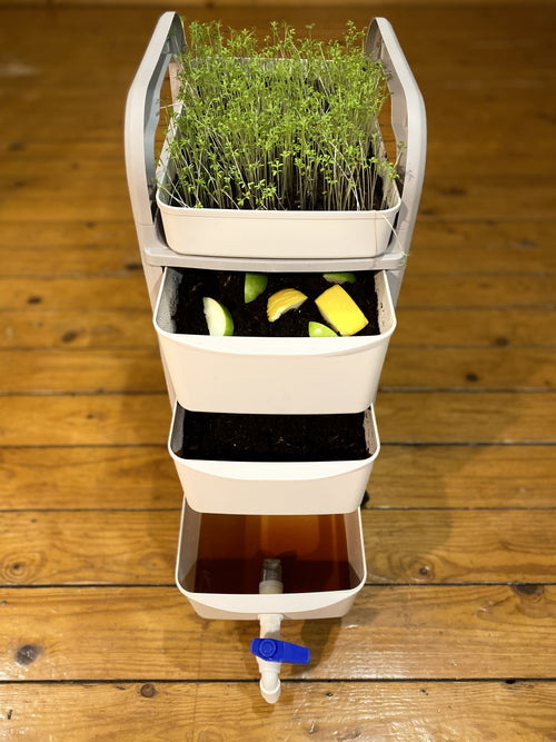 Vermicomposting Kit EcoWorm